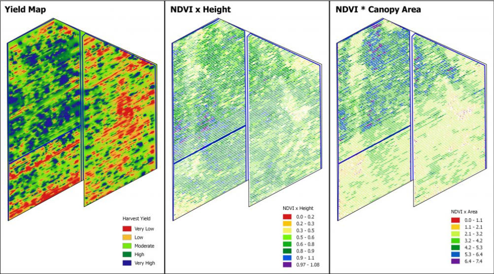 Yield map, NDVI x height and NDVI x canopy area maps from a KC Drone Solutions multispectral survey