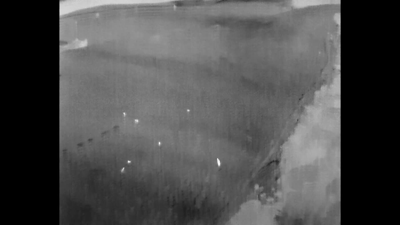 Thermal drone footage showing a mob of animals as bright heat signatures on a hillside at night