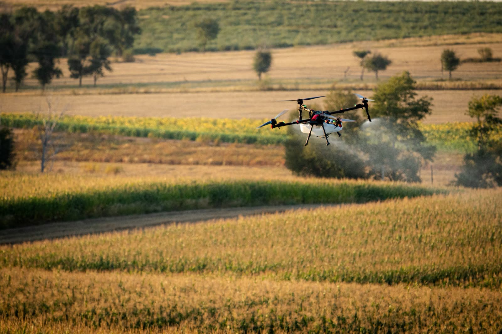 XAG P150 Max drone spraying a broadacre crop